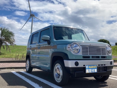 ハスラー(スズキ)届出済未使用車 全体