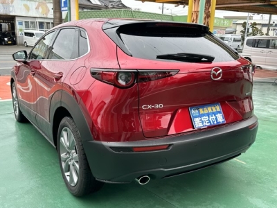 CX-30(マツダ)中古車 後方