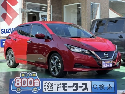 リーフ(ニッサン)中古車 全体