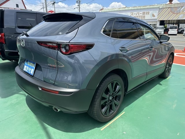 CX-30(マツダ)ディーラ-試乗車 9