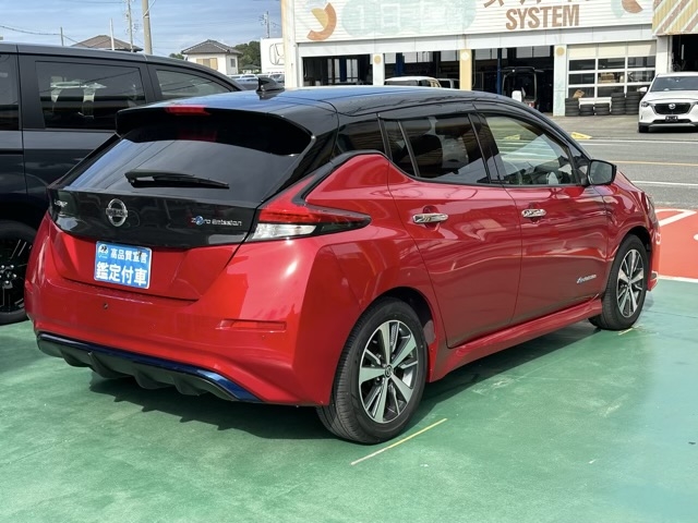リーフ(ニッサン)中古車 9