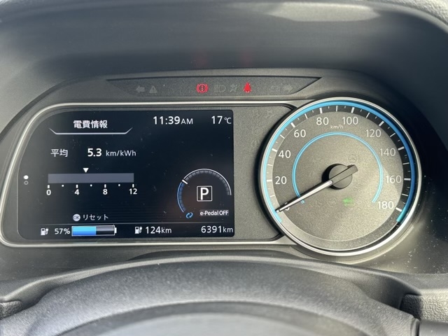リーフ(ニッサン)中古車 25