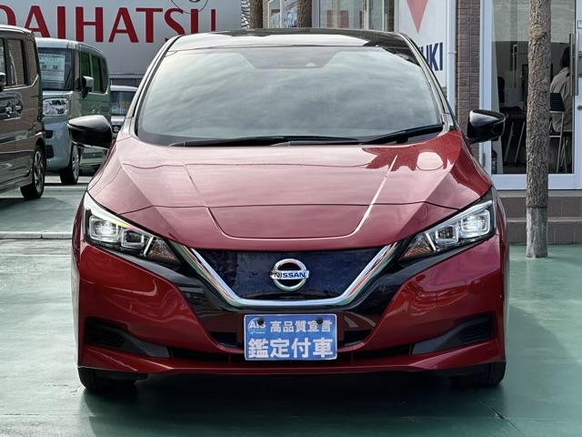 リーフ(ニッサン)中古車 29