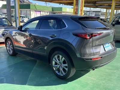 CX-30(マツダ)中古車 後方