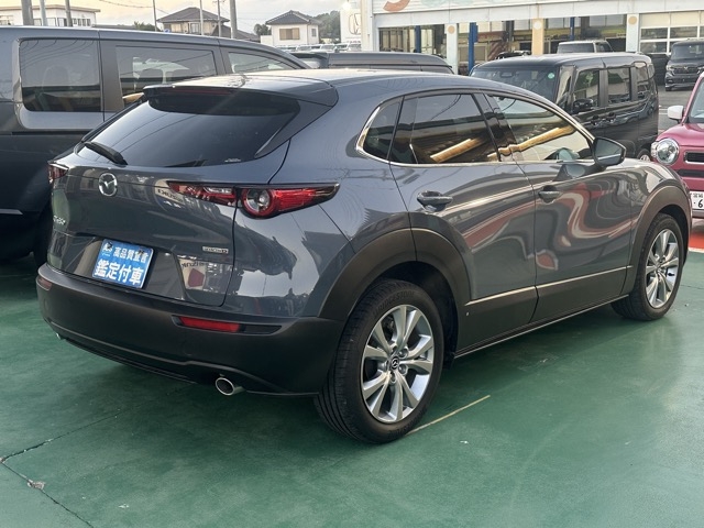 CX-30(マツダ)中古車 11