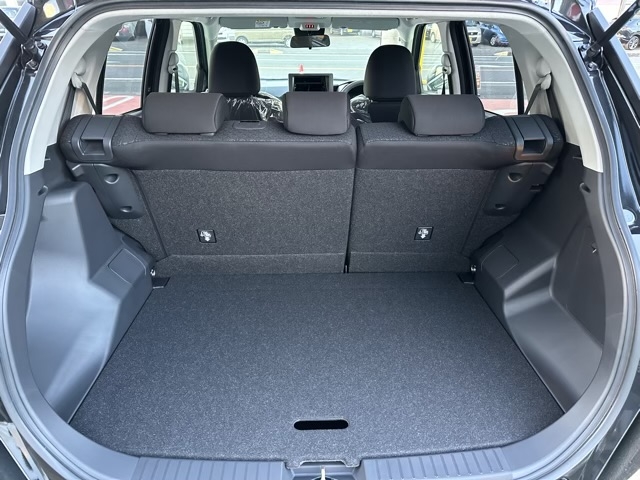 ライズ(トヨタ)新車見本展示無 8