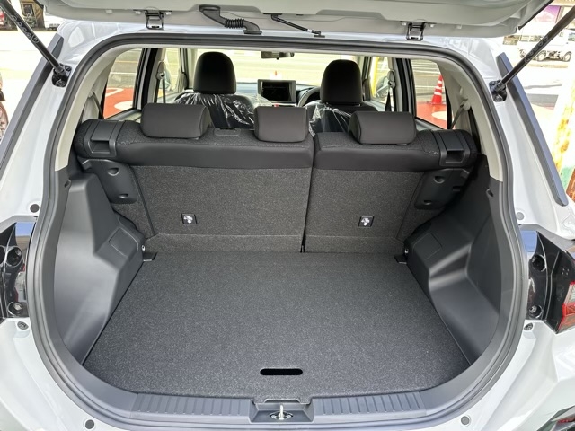 ライズ(トヨタ)新車見本展示無 9
