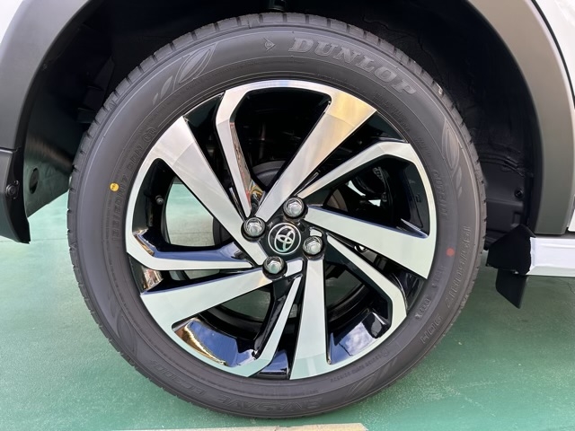 ライズ(トヨタ)新車見本展示無 12