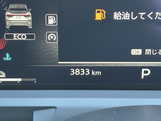 オーラ(ニッサン)中古車 19