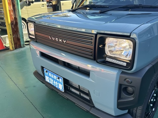 タフト(ダムド)届出済未使用車 23
