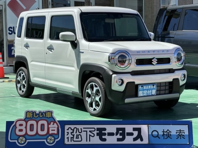 ハスラー(スズキ)届出済未使用車 全体