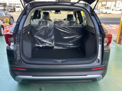 WR-V(ホンダ)登録済未使用車 内外装写真他１