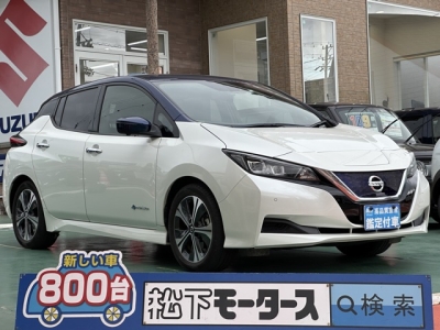 リーフ(ニッサン)中古車 全体