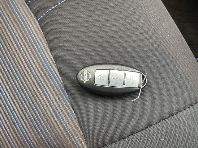 リーフ(ニッサン)中古車 19