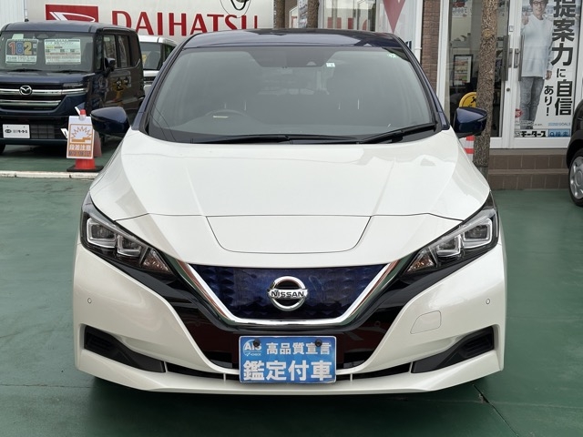 リーフ(ニッサン)中古車 24