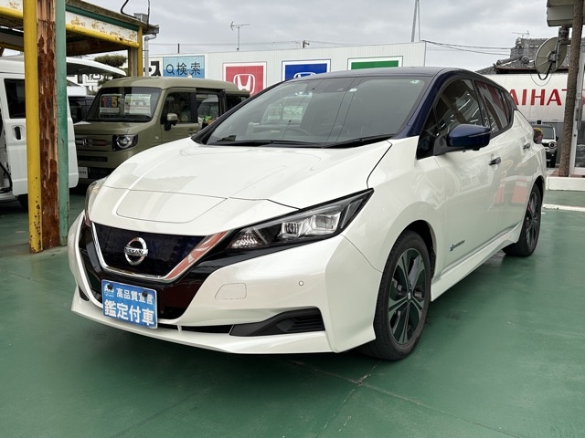 リーフ(ニッサン)中古車 1