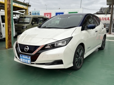 リーフ(ニッサン)中古車 前方