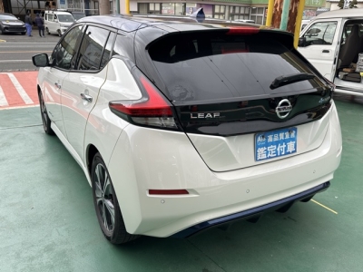 リーフ(ニッサン)中古車 後方