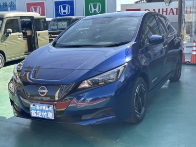 リーフ(ニッサン)中古車 前方