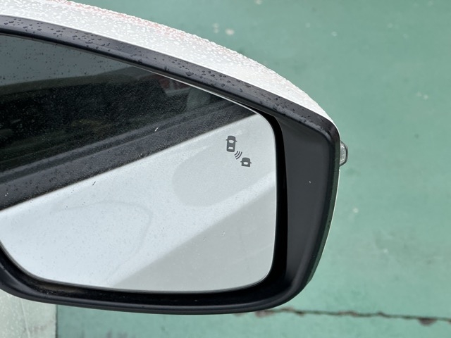 リーフ(ニッサン)中古車 13