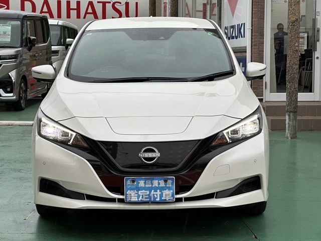 リーフ(ニッサン)中古車 27