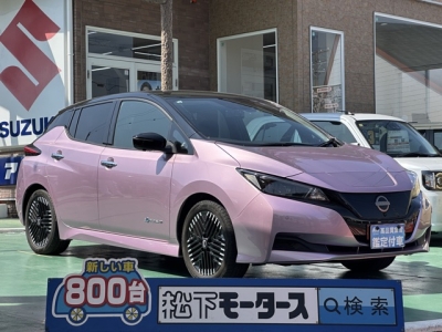 リーフ(ニッサン)中古車 全体