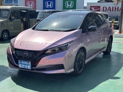 リーフ(ニッサン)中古車 前方