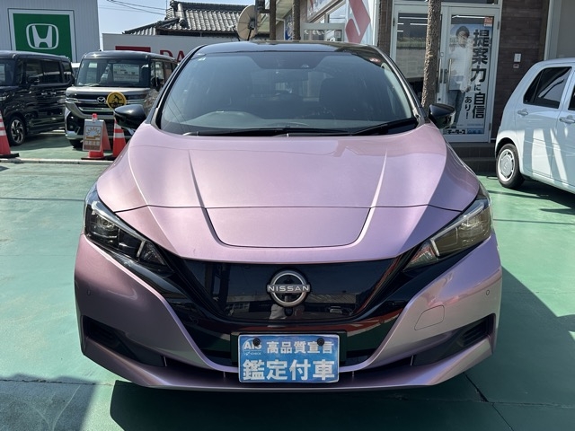 リーフ(ニッサン)中古車 29