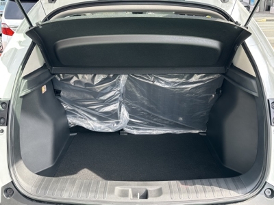 WR-V(ホンダ)登録済未使用車 内外装写真他２