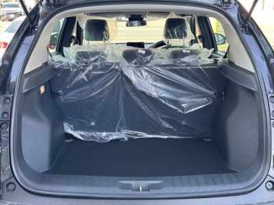 WR-V(ホンダ)登録済未使用車 内外装写真他２