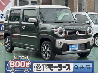 ハスラー(スズキ)届出済未使用車 全体
