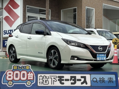 リーフ(ニッサン)中古車 全体