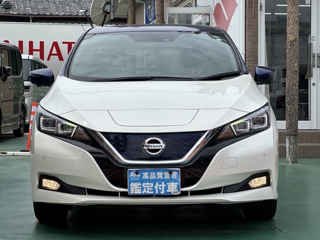 リーフ(ニッサン)中古車 29