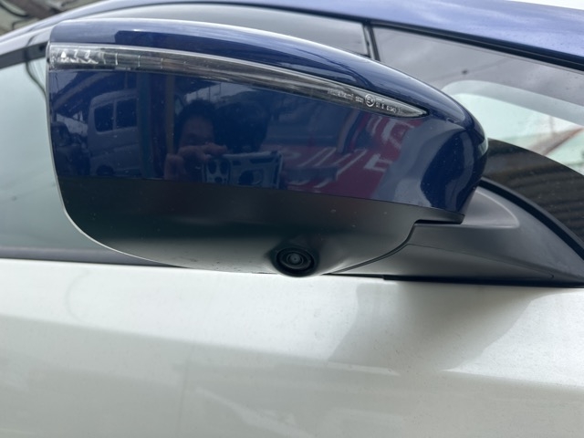リーフ(ニッサン)中古車 13