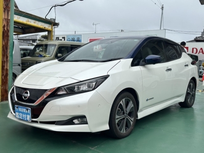 リーフ(ニッサン)中古車 前方