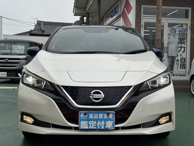 リーフ(ニッサン)中古車 29