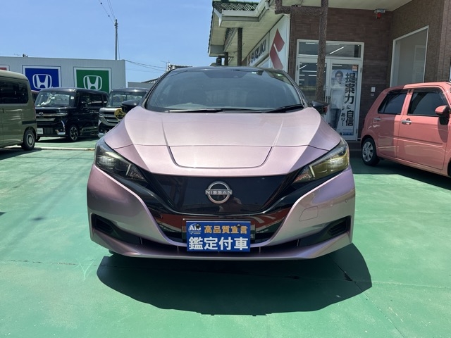 リーフ(ニッサン)中古車 28