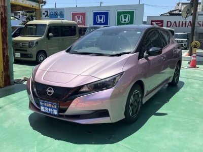 リーフ(ニッサン)中古車 前方