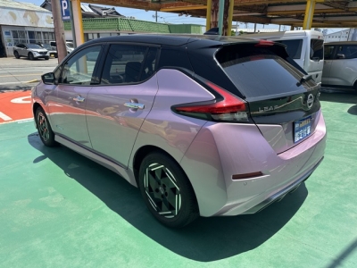 リーフ(ニッサン)中古車 後方