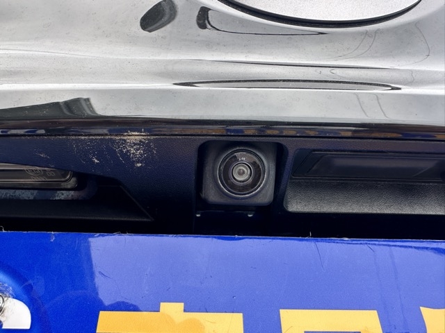 リーフ(ニッサン)中古車 7