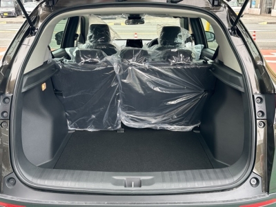 WR-V(ホンダ)登録済未使用車 内外装写真他２