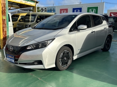 リーフ(ニッサン)中古車 前方