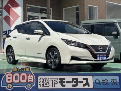 リーフ(ニッサン)中古車 全体