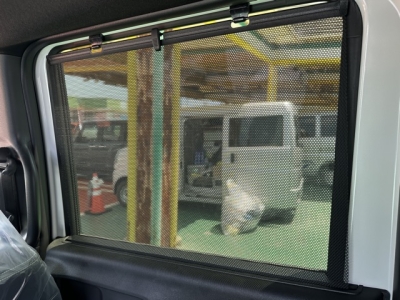 新型N-BOX(ホンダ)届出済未使用車 内外装写真他