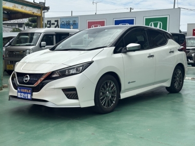 リーフ(ニッサン)中古車 前方