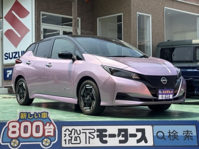 リーフ(ニッサン)中古車 全体