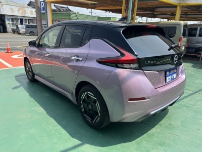 リーフ(ニッサン)中古車 後方