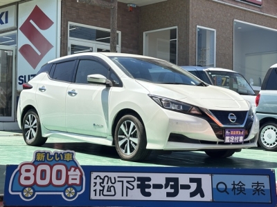 リーフ(ニッサン)中古車 全体