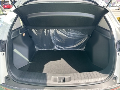 WR-V(ホンダ)登録済未使用車 内外装写真他1