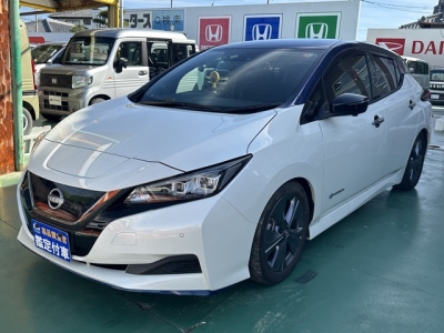 リーフ(ニッサン)中古車 前方
